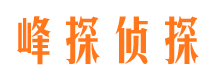 无极侦探